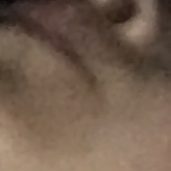 Meet your Posher, Jeremy - Picture 1 of 1